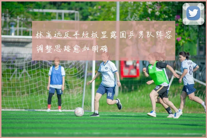 林高远反手短板显露国乒男队阵容调整思路愈加明确