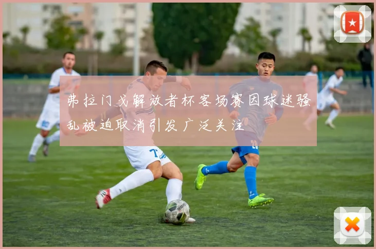 弗拉门戈解放者杯客场赛因球迷骚乱被迫取消引发广泛关注